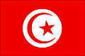Bandiera Tunisia .gif - Medium embossed